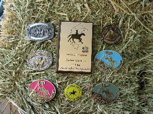 ACTERA buckles from 1984 to 2004 - click to see a larger photo (182kb)