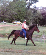 13. Colin Joyce and Jinney, Brookvale c. 1991
