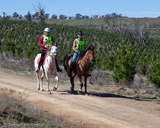 7. Colleen Clancy and Kadimah Park Hamelech with Duncan McLaughlan, Brookvale 2009 (photo by Robert McArthur)