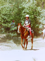 20. Colleen Clancy and Wiz the Fizz, Brookvale 1996 (photo by Brigitte Heyer)