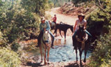 26. Rowena Hadlow and Deakin Blue with Robyn Hadlow, Brookvale 1987 (photo by Brigitte Heyer)