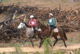24. Searle Johnston and Brindabella Bold Boris with Kristen Proudfoot and Tim Tam, 40&nbsp;km ride, Brookvale 2004 (photo by Main Event Photography)