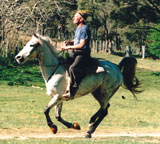 29. Searle Johnston and Shinda, Brookvale 1989