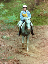 21. Tova Ducker and Segovia, Brookvale 1997