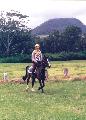 Paul Sheils on Visty, Kangaroo Valley 1990