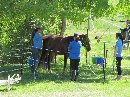 A pre-ride massage (photo by Uros Rokvic/Kim Stuart)