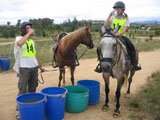 Talea Hasko-Stewart (mounted) on Blake's Heaven Summer Reign (1st junior) and Lorien Hasko-Stewart on BH Bombora (1st heavyweight) taking a drink during the second leg
