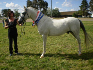 M'nyana - click for larger image. Copyright Kristen Proudfoot 2008.