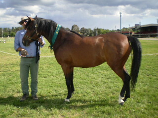 Brian with Tilly - click for larger image. Copyright Kristen Proudfoot 2008